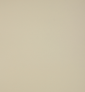Archid Xterno Cladding - 11049 Moonstone